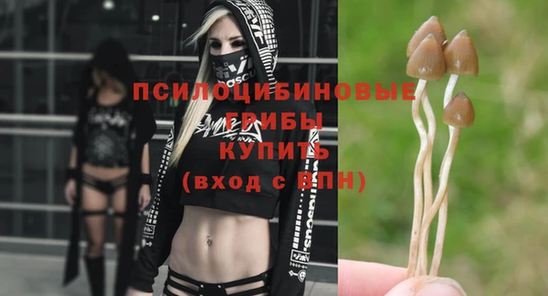 ГАЛЛЮЦИНОГЕННЫЕ ГРИБЫ Дмитровск