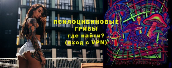 ГАЛЛЮЦИНОГЕННЫЕ ГРИБЫ Дмитровск