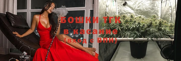 меф Дмитриев