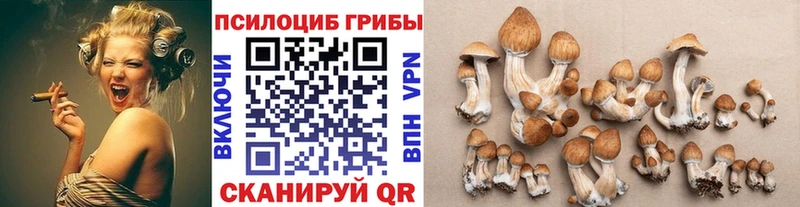 KRAKEN ONION  Зеленокумск  Галлюциногенные грибы прущие грибы 